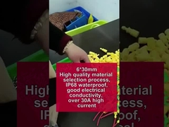 جعبه فیوز دسته سیم زرد نگهدارنده ضد آب 30A 250V 5*20mm 6*30mm لوله سرامیکی شیشه ای