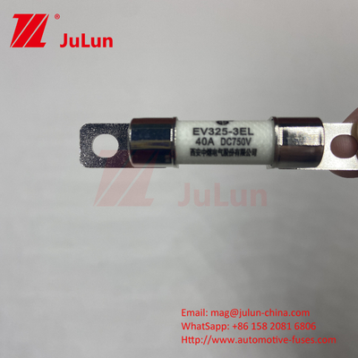 EV شارژر / شارژ سریع خودروهای الکتریکی برای DC750V محافظت فیوز بار شیمیایی و دمای بالا