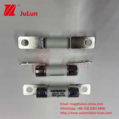 حفاظت EV خودروهای الکتریکی فیوز تبدیل قدرت 15A 30A 25A 750VDC 10x38 EV فیوز