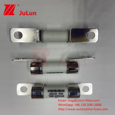 DC750V 10A-100A فيوز EV باکس شده برای ذخیره انرژی سیستم کشش خودروهای الکتریکی 25A 30A 50A فيوز EV