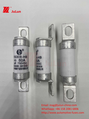 فیوز خودروهای الکتریکی برای DC750V فیوز DC750V 10A 15A 20A 25A 30A برای کاربردهای خودرو RS308