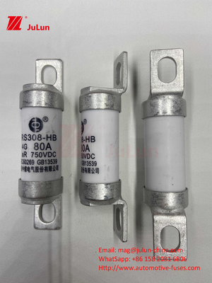 فیوز EV 100A ویژگی های ساخت و ساز بولت شده به طور خاص 750VDC 10A 25A 50A 63A