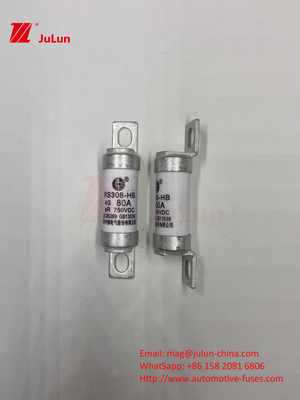 EV RS308 فیوز شوک مکانیکی 25A 30A 40A 50A مس سرامیکی ولتاژ نامشخص DC750V شارژر خانه ای EV برای اتومبیل الکتریکی