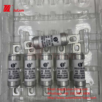 فیوز M6 EV با شارژر سرامیکی EV 750VDC فیوز بار شیمیایی و دمای بالا 40A 50A RS308