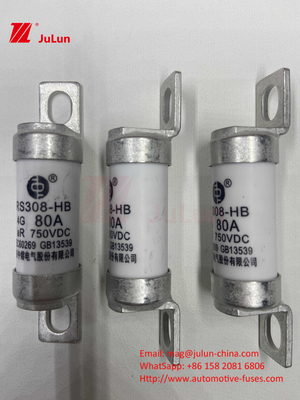 تبدیل قدرت 63A 15A 30A 25A 100A 50A EV FUSEDC750V ولتاژ نامی فیوز برقی خودرو