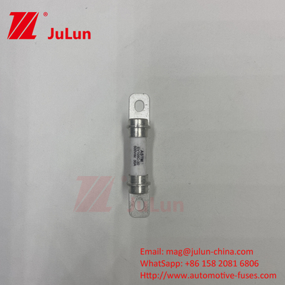 طراحی عملکرد قابلیت اطمینان فیوز خودروهای الکتریکی 500VDC به ISO8820-8&GB/T31465 مراجعه کنید.6