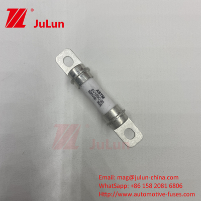 50A 40A 30A فیوز خودروهای الکتریکی خالص سیستم تبدیل قدرت خودروهای الکتریکی با بولت M6