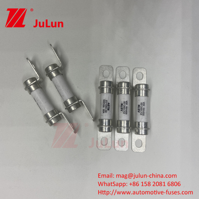 فیوز وسایل نقلیه برق 20A500VD فیوز های کمکی وسایل نقلیه برق