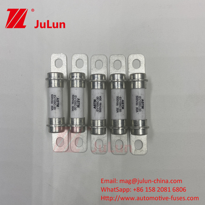 M6 بولت خانه شارژر 30A 40A بولت M6 خودرو کیفیت بالا 5A فیوز 500VDC