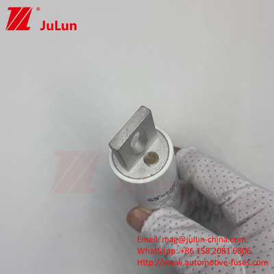 RS309-MM-EV250A 100KA ولتاژ متوسط خودروهای الکتریکی شارژ سریع / شارژگر سریع Ev Dc