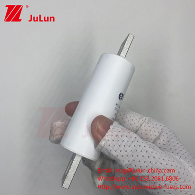RS309-MM-EV250A 100KA ولتاژ متوسط خودروهای الکتریکی شارژ سریع / شارژگر سریع Ev Dc