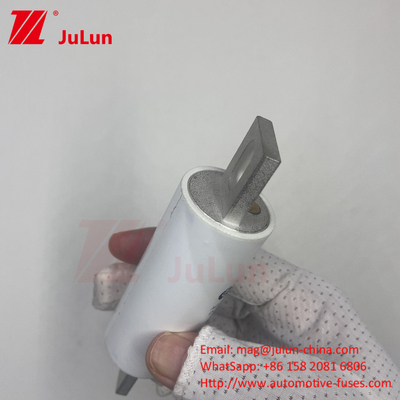 RS309-MM-EV300A فیوز متوسط AC 1000VDC 1000VAC در سیستم های الکتریکی ولتاژ بالا برای وسایل نقلیه الکتریکی
