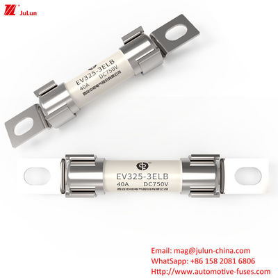 750V EV فیوز شارژ محافظت شده 3 فاز اندازه 3 فیوز نگهدارنده برای اتومبیل