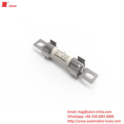 ولتاژ نامی DC750V 40A ویژگی های فیوز متوسط