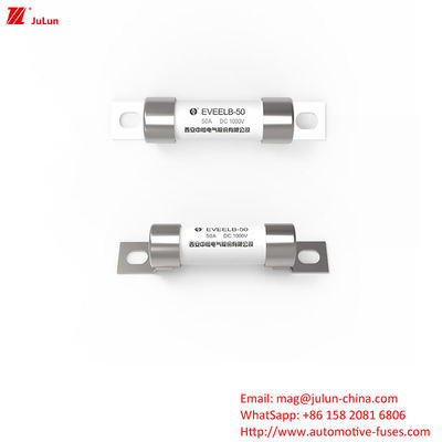 حفاظت از پیچ بولت EV فيوز شارژر EV قابل حمل برای راه حل شارژ قابل حمل DC1000V 10A-50A