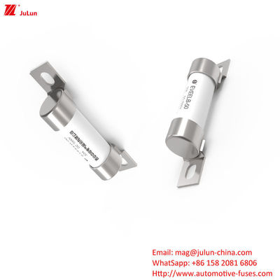 DC1000V 10A-50A فیوز EV با ترمینال پیچ بولت برای حفاظت از وسایل نقلیه الکتریکی