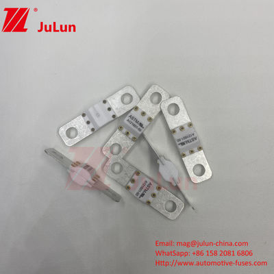 ASTM 300A 125VDC بولت پیچ فیوز A121601 برای حفاظت از وسایل نقلیه الکتریکی