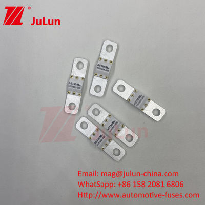 فيوز ASTM 121601 80A 125VDC فيوز اتومبیل الکتریکی