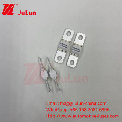 فيوز اتومبيل خودرو خودرو الکتريکي ASTM FUSE 300A 125VDC بولت On