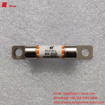 فيوز شارژر EV سازگار با شارژ 10A-60A شارژ خودروهای الکتریکی شارژ سریع