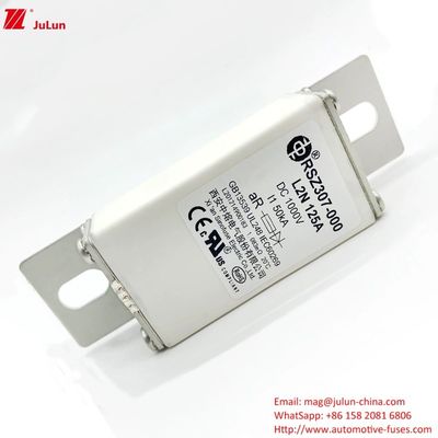100A بولت بر روی EV DC شارژر سریع / شارژ سریع وسایل نقلیه الکتریکی RSZ307-000-L2N فیوز