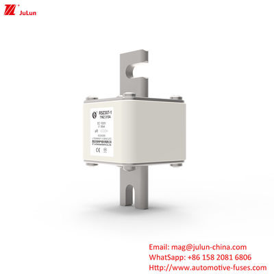 315A DC250V فیوز شارژر EV قابل حمل راه حل نهایی برای صاحبان EV