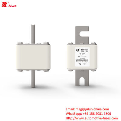 RSZ307-1-TMZ آداپتور شارژ ماشین برق DC با بولت بر روی فیوز کاربردهای صنعت ذخیره سازی انرژی