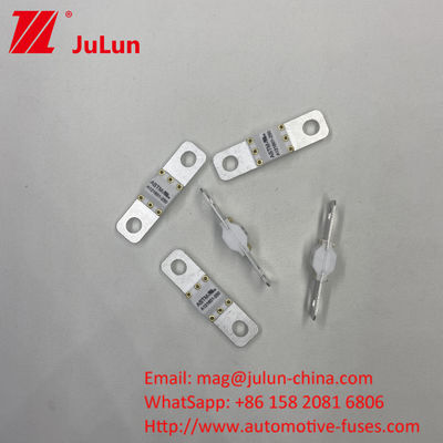 A121601-100A 3KA 6KA 8KA شکستن شارژ خودروهای الکتریکی فیوز خودرو