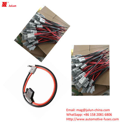 جریان بازنشستگی دستی حامل فیوز خودروهای انرژی جدید استاندارد Eu UL 30A-100A است.