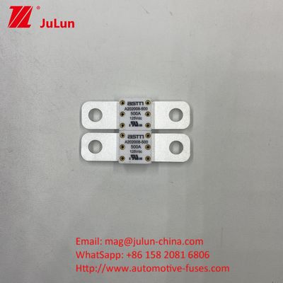 قطع کننده های مدار خودرو A202008 100A 100VDC EV FUSE ASTM