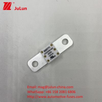 ASTM A202008 250A 125VDC فاصله سوراخ فیوز خودروهای الکتریکی 50.8mm 100A 125A