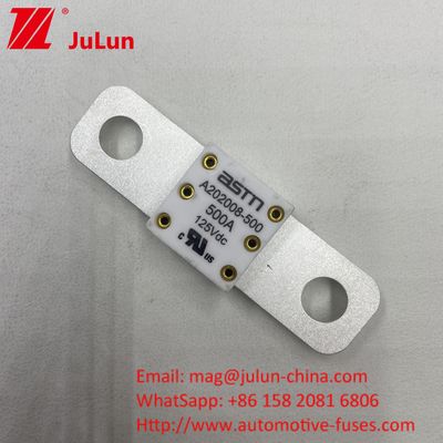 125VDC 200A ANM AMM AEGA ANL CNN CNL فیوز باتری خودرو برای خودرو