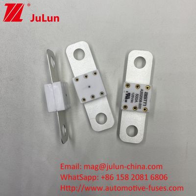 حرفه ای A202008 300A 125VDC بارگذاری سنگین باتری خودرو فیوز 100A 150A 200A 250A 300A 350A 400A 500A ظرفیت شکستن 20KA