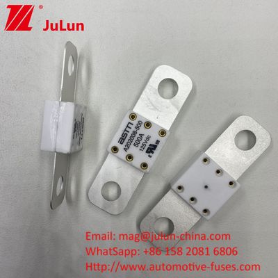 حرفه ای A202008 300A 125VDC بارگذاری سنگین باتری خودرو فیوز 100A 150A 200A 250A 300A 350A 400A 500A ظرفیت شکستن 20KA
