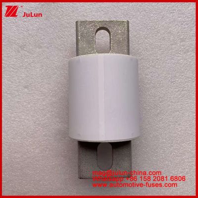 محرک برق سیستم های برق فیوزهای اتوماتیک سرامیکی RS309-MD 600A 500VAC 200KA 500VDC 50KA AR وسایل نقلیه الکتریکی لوله ای 30-800A