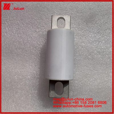 500A 400A RS309-MF EVE 750VDC ((UL) وسایل نقلیه جاده ای لوله ای سرامیکی ذخیره انرژی سیستم های برق شارژر سیم دستگاه های خودرو و تجهیزات 20KA