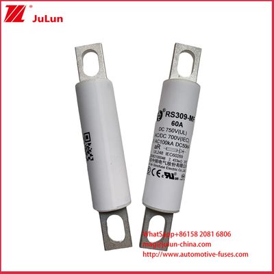 RS309-MF 60A DC750C کامیون های سنگین شارژ پلاک اتومبیل های الکتریکی اتوبوس های الکتریکی کامیون های سبک الکتریکی و فیوز الکتریکی