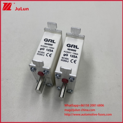 225A 160A 125A NT000/NH000 فیوز 125A / نگهدارنده فیوز تیغه ای فیوز سرامیکی پایه فیوز چینی