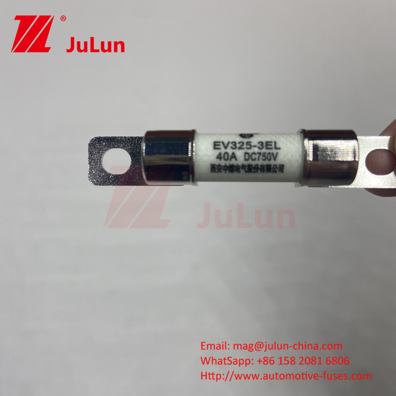 EV شارژر / شارژ سریع خودروهای الکتریکی برای DC750V محافظت فیوز بار شیمیایی و دمای بالا