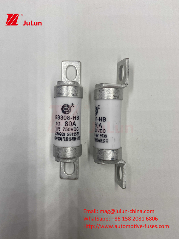 فیوز M6 EV با شارژر سرامیکی EV 750VDC فیوز بار شیمیایی و دمای بالا 40A 50A RS308