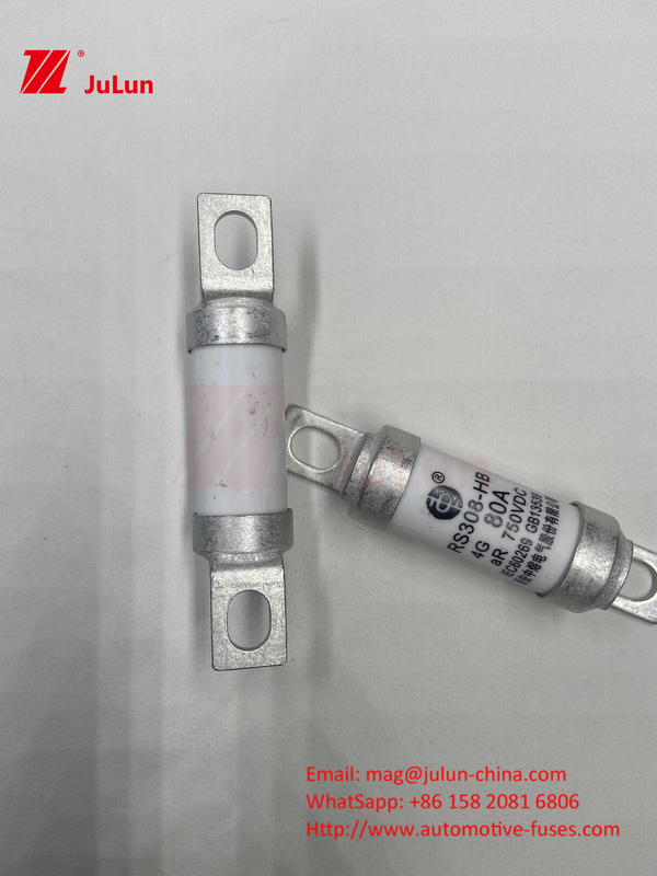 750VDC فیوز های سرامیکی خودرو 14. لوله سرامیکی 20x46mm 15A 40A 50A RS308 HB G FUSE 750VDC EV325 100A