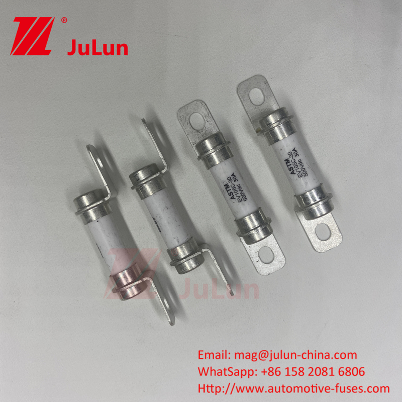 50A 40A 30A فیوز خودروهای الکتریکی خالص سیستم تبدیل قدرت خودروهای الکتریکی با بولت M6