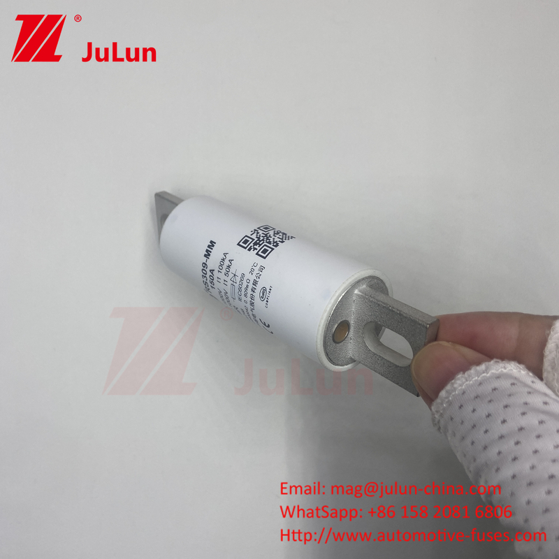 RS309-MM-EV250A 100KA ولتاژ متوسط خودروهای الکتریکی شارژ سریع / شارژگر سریع Ev Dc