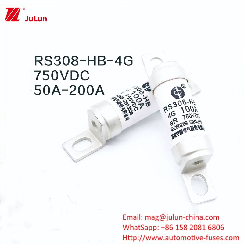 آداپتور شارژر ایو RS308-HB4G سری 32A 63A 100A فیوز های کوچک برای ماشین