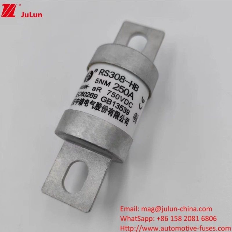 200A 250A 300A -400A پیچ فیوز خودروهای الکتریکی M8 M6 روش نصب ترمینال نوع فیوز انرژی 750VDC