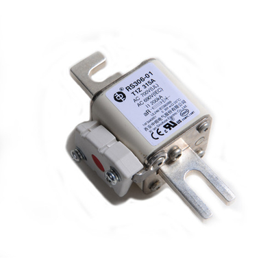 وسایل نقلیه الکتریکی ریلی حمل و نقل ریلی فیوزهای خودرو سرامیک برق کشتی RS306 690V