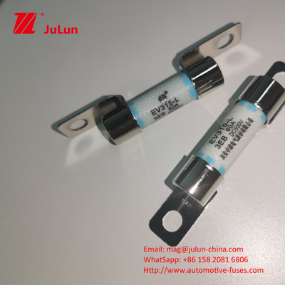 محافظت از مدار کوتاه خودروهای الکتریکی فیوز 40A با ظرفیت شکستن 3KA خودرو