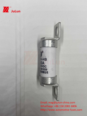 63A RS308 HB فیوز با پیچ 80A 10A 15A 40A فیوز های سرامیکی خودرو با پیچ