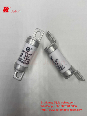 فیوزهای سرامیکی EV 750VDC برای شارژ ایمن خودرو 63A25A 15A 30A 750VDC RS308 FUSE