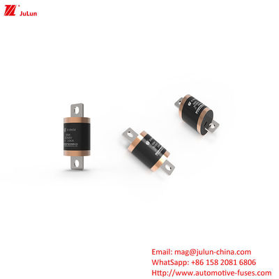 شارژر برقی برای ماشین های الکتریکی / شارژر سریع EV DC فیوز ولتاژ نامی DC500V 20kA